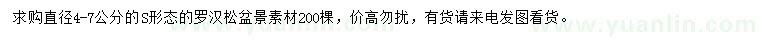 求購直徑4-7公分羅漢松
