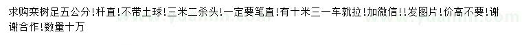 求購5公分欒樹