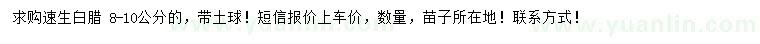 求購8-10公分速生白蠟