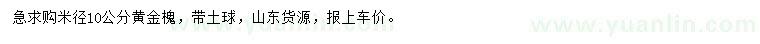 求購米徑10公分黃金槐