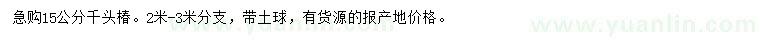 求購15公分千頭椿