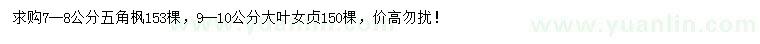 求購(gòu)7-8公分五角楓、9-10公分大葉女貞