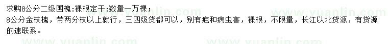 求購8公分國槐、金枝槐