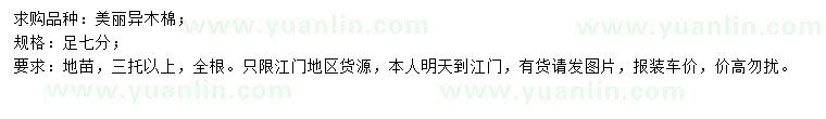 求購7公分美麗異木棉