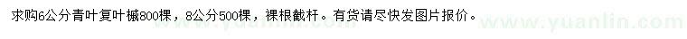 求購6、8公分青葉復(fù)葉槭