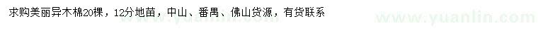 求購12公分美麗異木棉