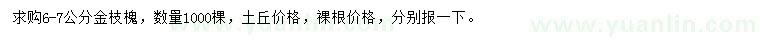 求購6-7公分金枝槐