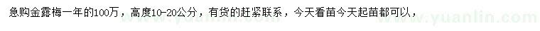 求購高10-20公分金露梅