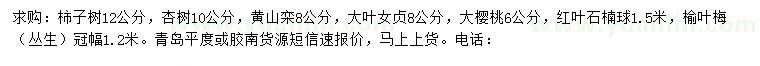 求購柿子樹、杏樹、黃山欒等