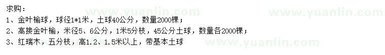 求購金葉榆球、高接金葉榆、紅瑞木等