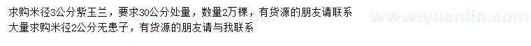 求購(gòu)米徑3公分紫玉蘭、2公分無(wú)患子