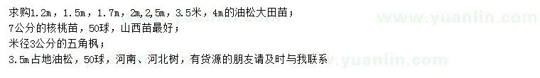 求購油松、核桃苗、五角楓
