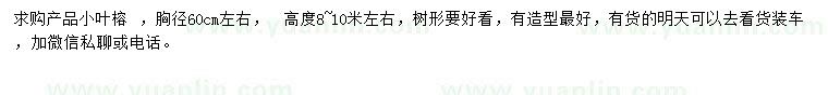 求購胸徑60公分小葉榕