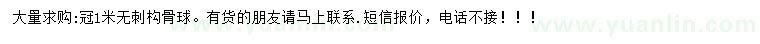 求購冠1米無刺構骨球