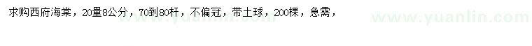 求購(gòu)20量8公分西府海棠