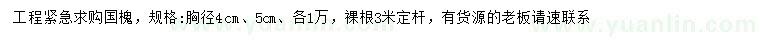 求購胸徑4、5公分國槐