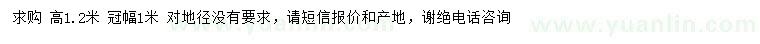 求購高1.2米榆葉梅