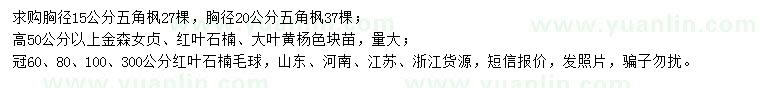 求購(gòu)五角楓、金森女貞、紅葉石楠等