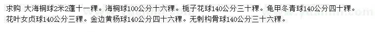 求購海桐球、梔子花球、龜甲冬青球等