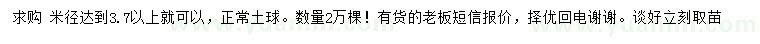 求購米徑3.7公分以上八月桂