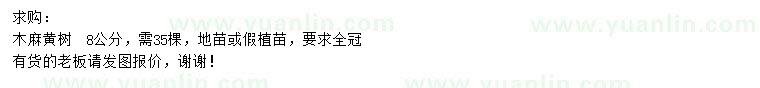 求購8公分木麻黃