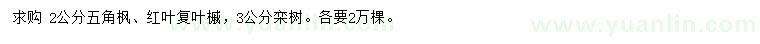 求購五角楓、紅葉復(fù)葉槭、欒樹