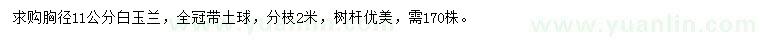 求購胸徑11公分白玉蘭