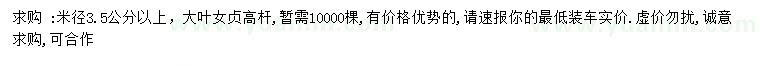 求購米徑3.5公分以上大葉女貞