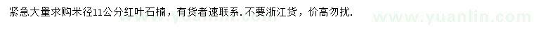 求購(gòu)米徑11公分紅葉石楠