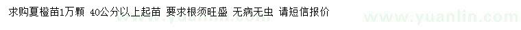 求購(gòu)40公分以上夏橙