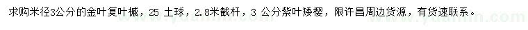 求購(gòu)米徑3公分金葉復(fù)葉槭、紫葉矮櫻