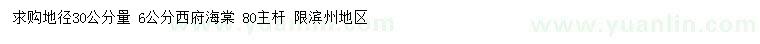 求購30公分量6公分西府海棠