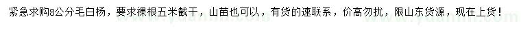 求購8公分毛白楊