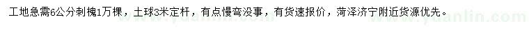 求購(gòu)6公分刺槐