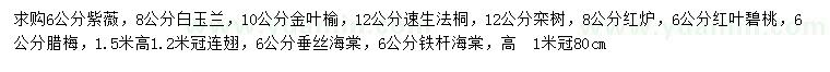 求購(gòu)紫薇、白玉蘭、金葉榆等
