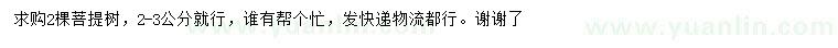 求購2-3公分菩提樹