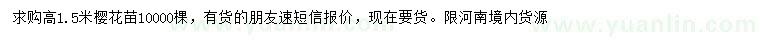求購高1.5米櫻花