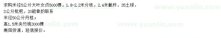 求購(gòu)大葉女貞、枇杷、丹桂等