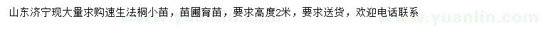 求購高2米速生法桐