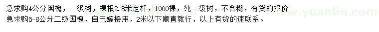 求購4、5-8公分國槐