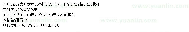 求購大葉女貞、夾竹桃、枇杷等