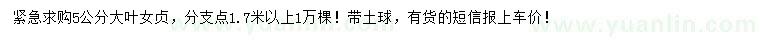 求購5公分大葉女貞