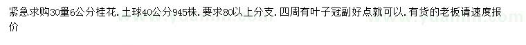 求購30量6公分桂花
