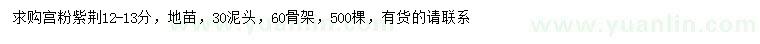求購12-13公分宮粉紫荊