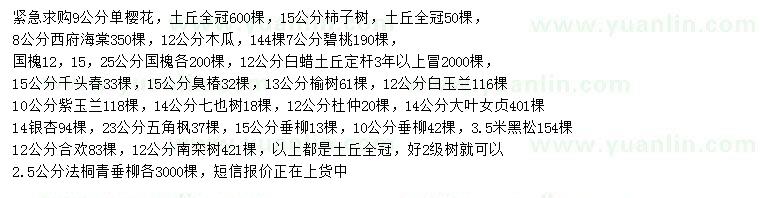 求購櫻花、柿子樹、西府海棠等