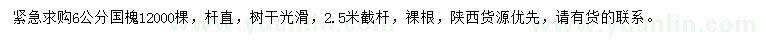 求購6公分國槐