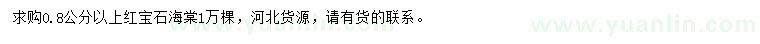 求購0.8公分以上紅寶石海棠