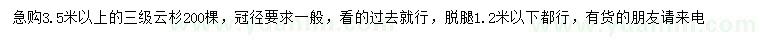 求購3.5米以上云杉