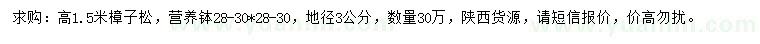 求購高1.5米樟子松