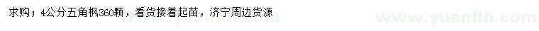 求購4公分五角楓